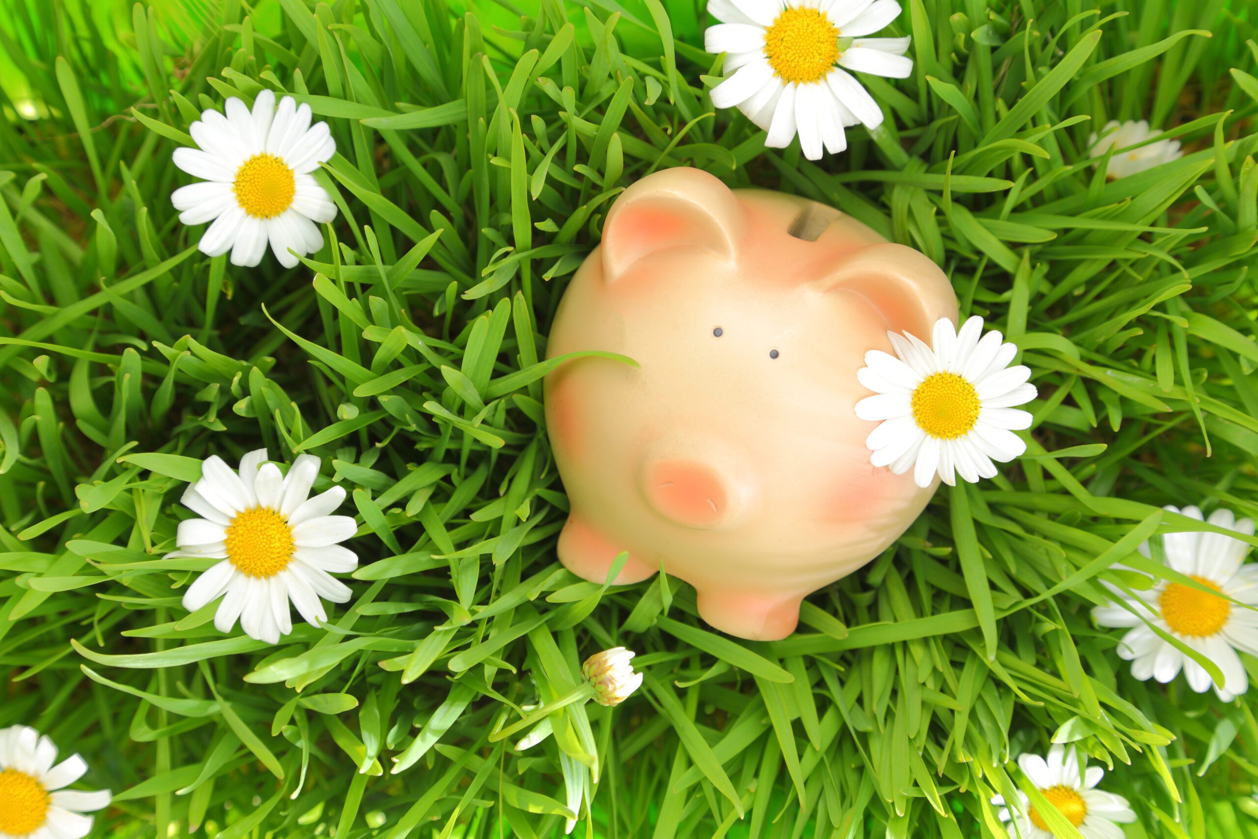 ESG & Materiality: The maps to navigating Sustainable Finance