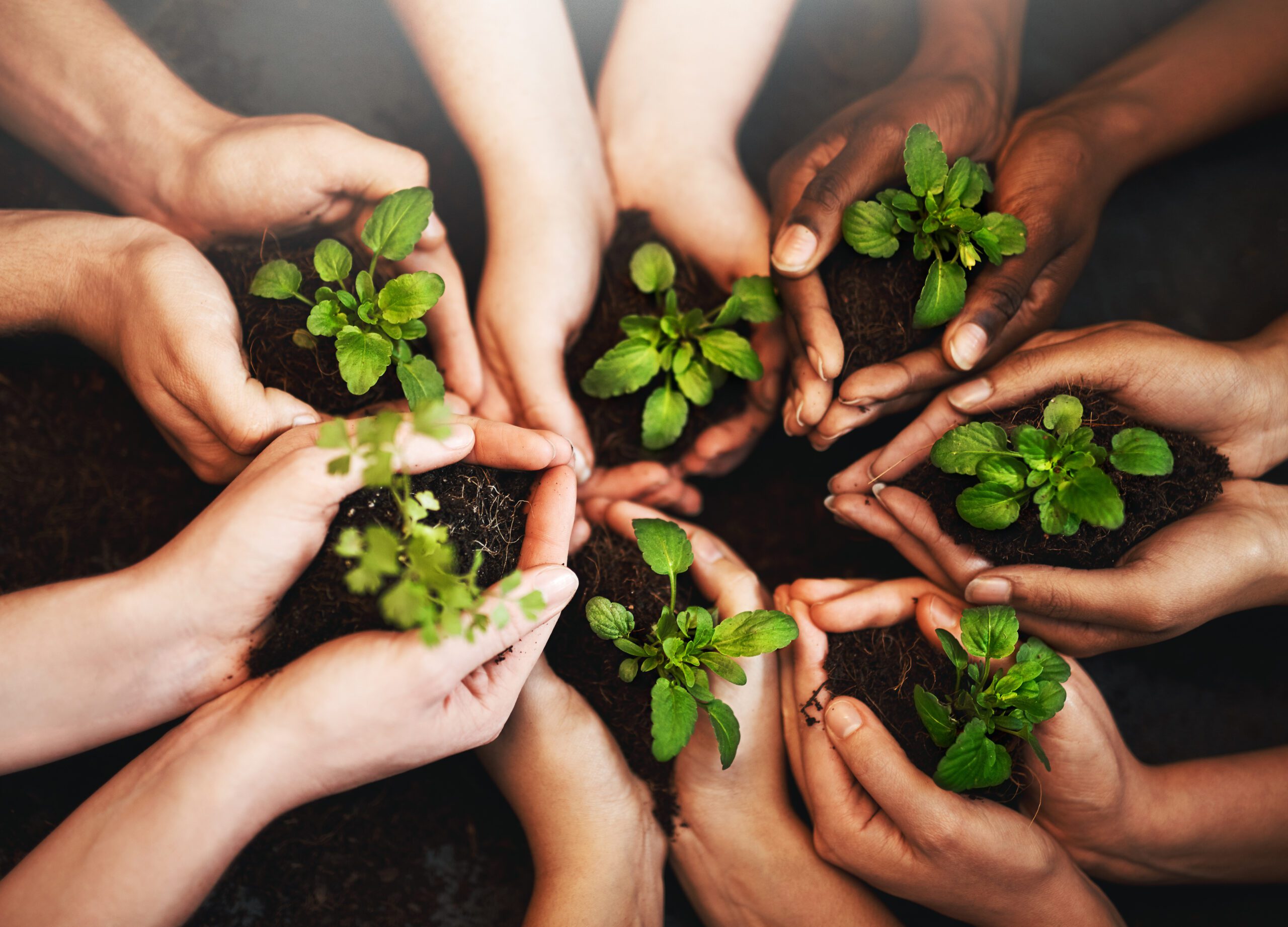 Understanding Blended Finance: Mobilising Private Capital for Sustainable Development