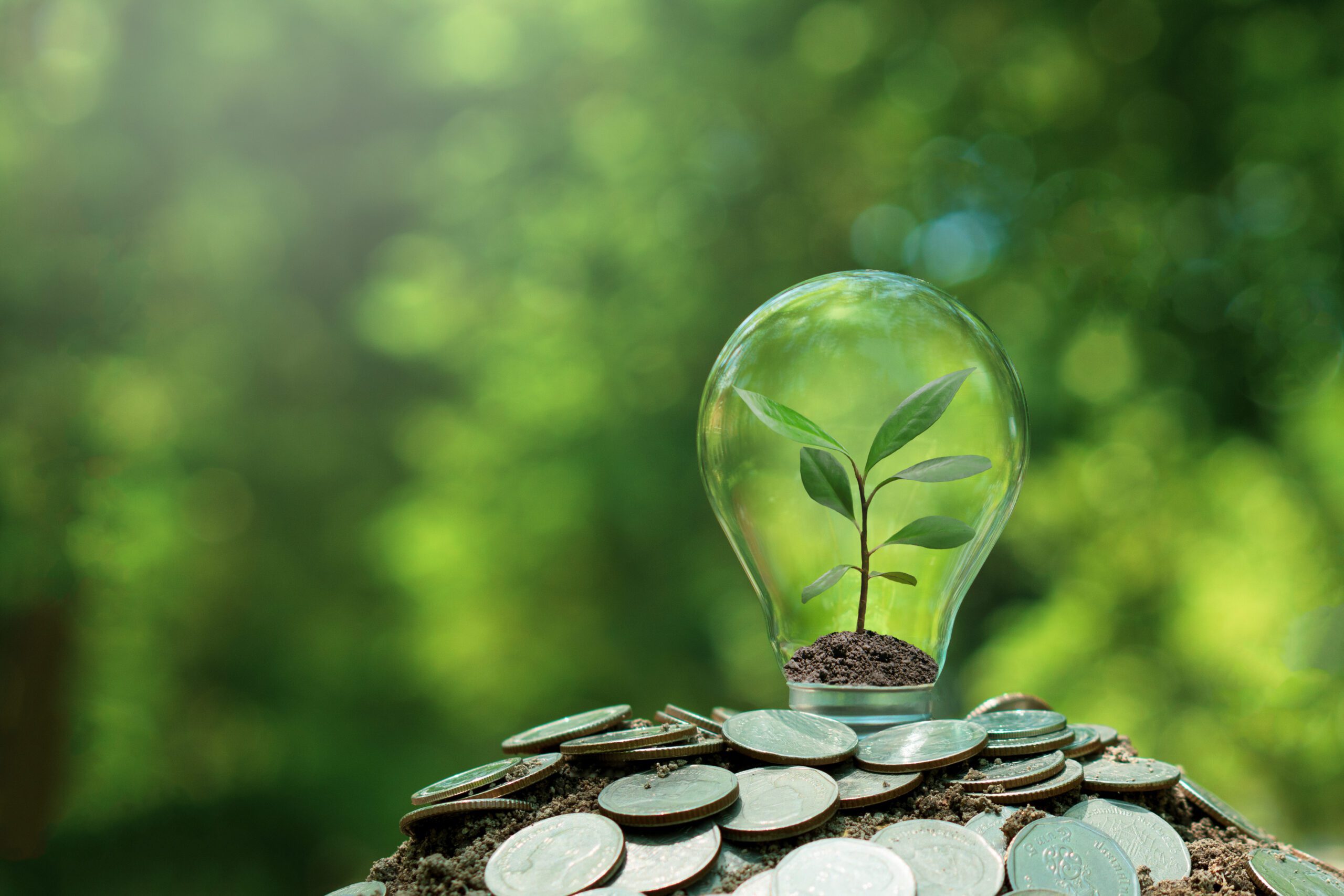 Impact Linked Compensation (ILC): Aligning Financial Incentives with Sustainability Goals